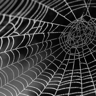 World Wide Web Day: de blijvende [b]groei van het web[/b]